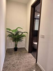 The M (D7), Apartment #576957631
